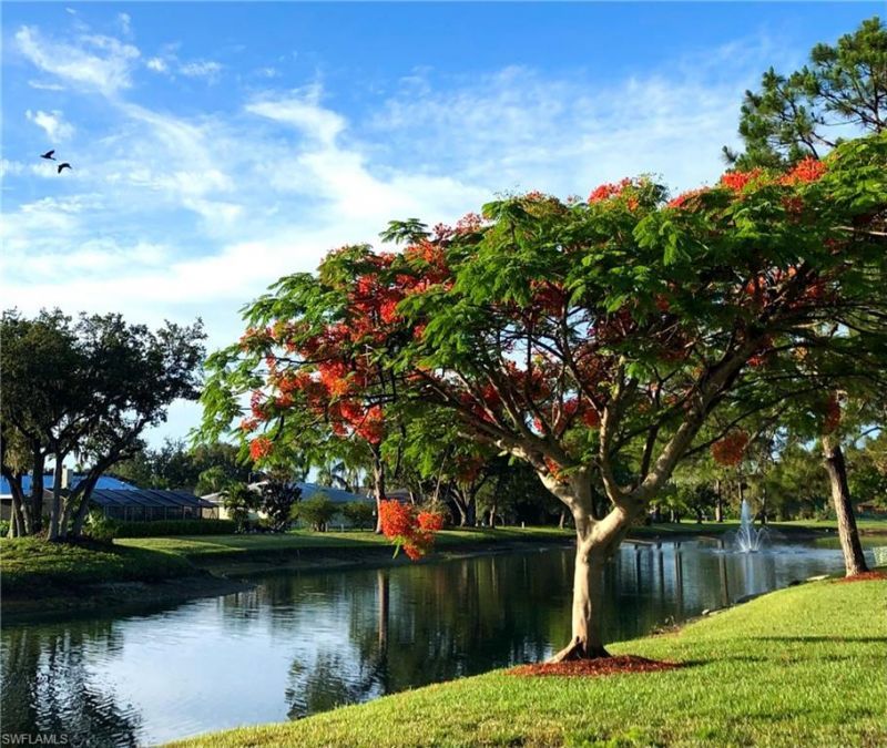 16000 Bay Pointe Blvd, Unit 306, North Fort Myers, FL 33917 Photo