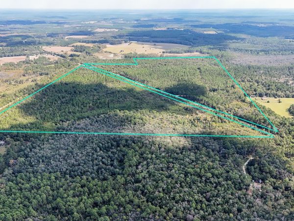 0 Douglas Ferry Road, Bonifay, FL 32425