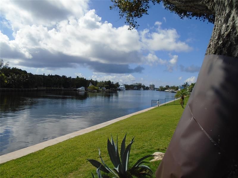 3165 NE 48th Court, Unit 110, Lighthouse Point, FL 33064 Photo