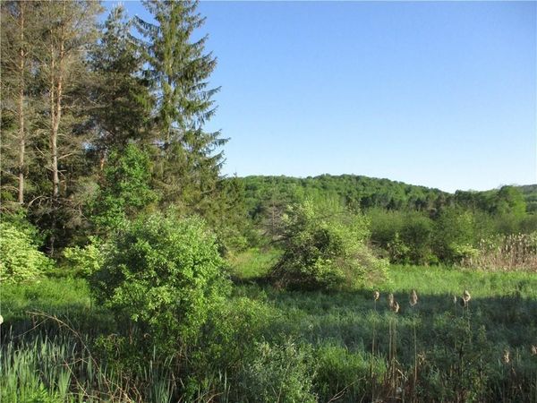 Lot 1 State Route 80, Smyrna, NY 13464
