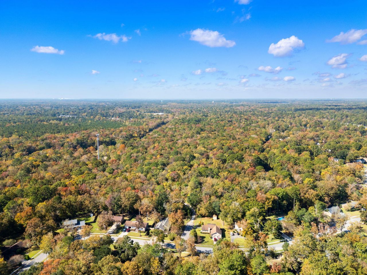 109 Mill Pond Court Photo 36