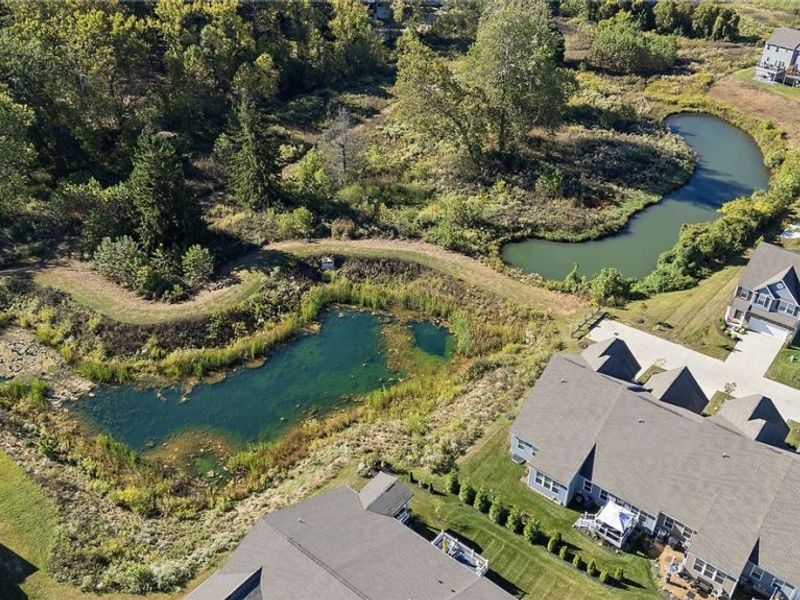 1113 Bean Lane, Akron, OH 44313 Photo 32