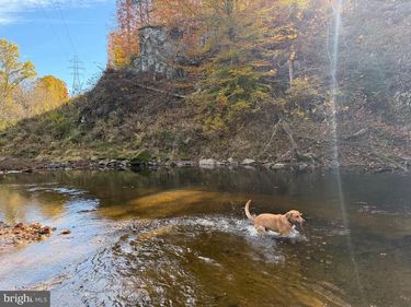 0 BRIDGEPORT RD, ARVONIA, VA 23004