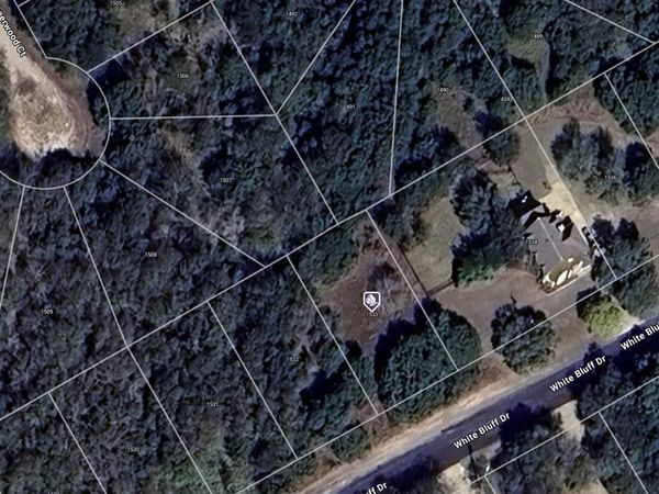 1533 White Bluff Drive, Whitney, TX 76692