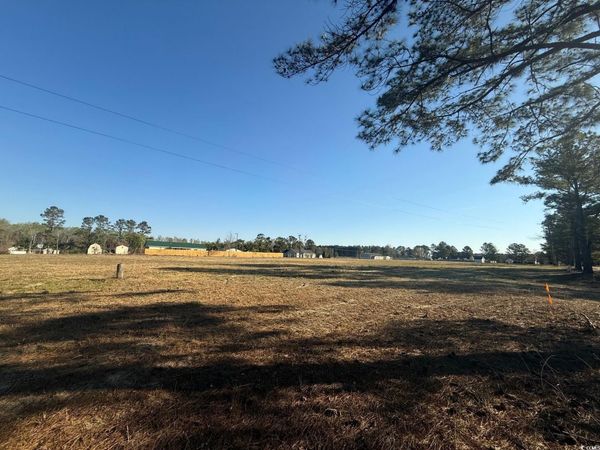 TBD Janice Ct, Latta, SC 29565