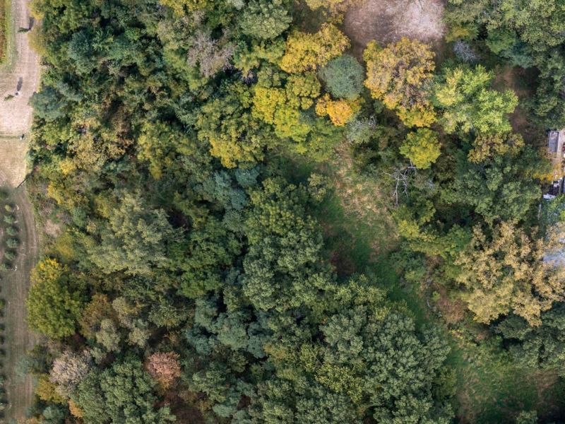 5143 E Walnut Street, Westerville, OH 43081 Photo 10