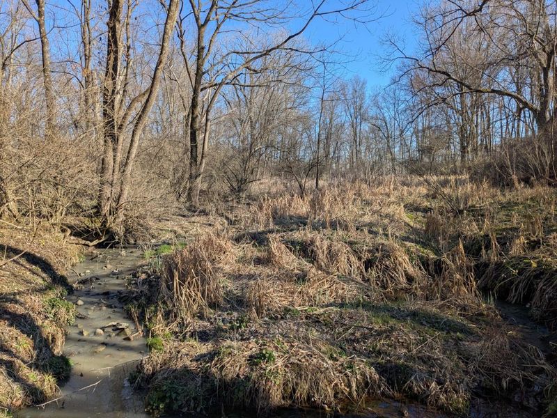 5143 E Walnut Street, Westerville, OH 43081 Photo 18