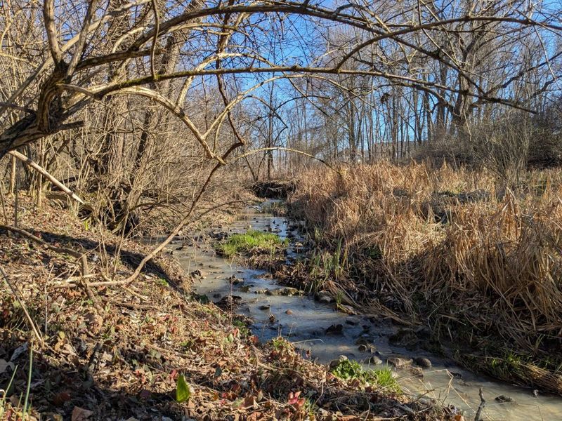 5143 E Walnut Street, Westerville, OH 43081 Photo 19