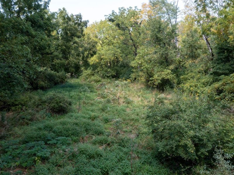 5143 E Walnut Street, Westerville, OH 43081 Photo 20