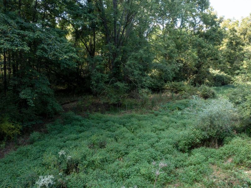 5143 E Walnut Street, Westerville, OH 43081 Photo 23