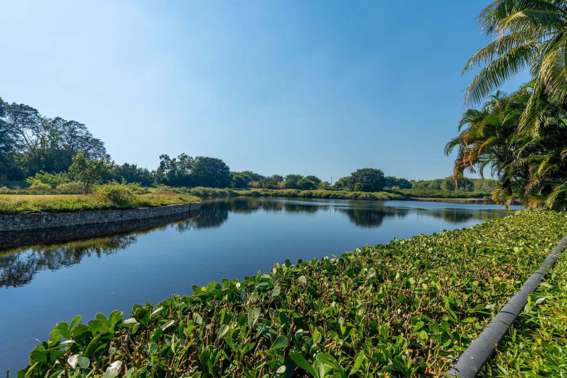 2971 Bent Cypress Road, Wellington, FL 33414 Photo