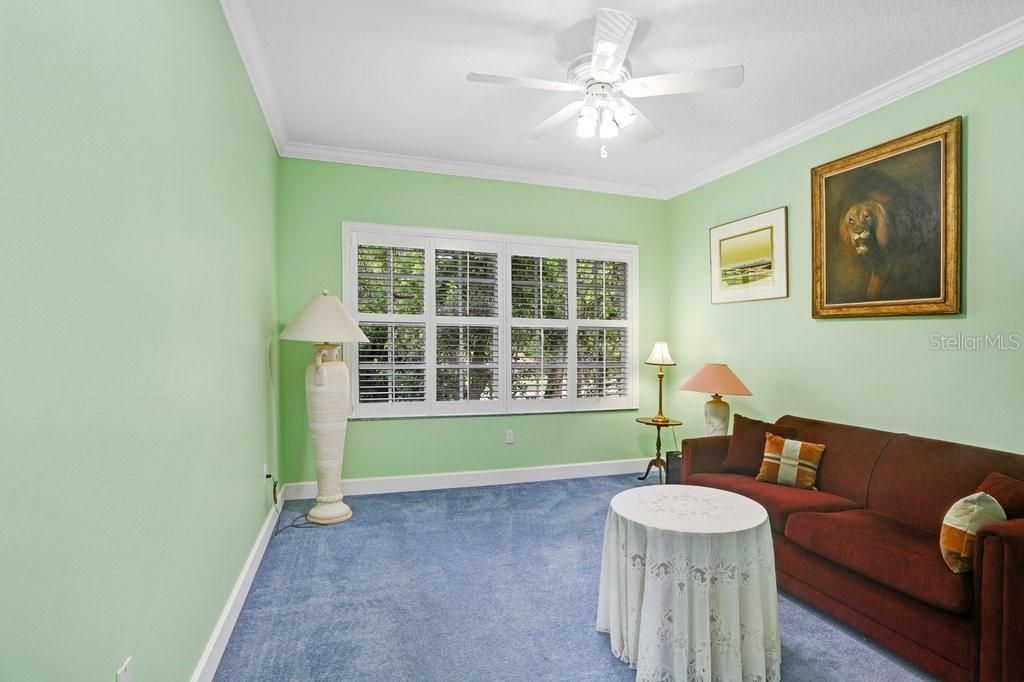 12009 Brewster Drive, Tampa, FL 33626 Photo