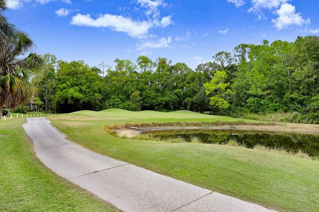 12009 Brewster Drive, Tampa, FL 33626 Photo