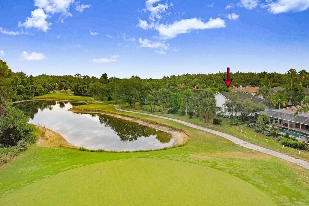 12009 Brewster Drive, Tampa, FL 33626 Photo