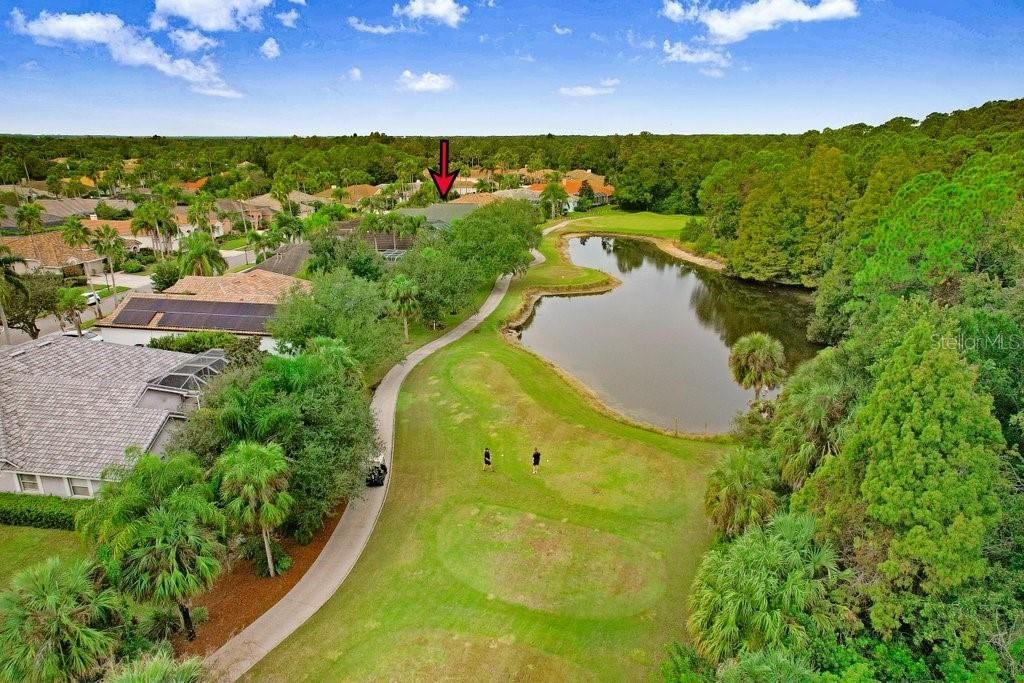 12009 Brewster Drive, Tampa, FL 33626 Photo