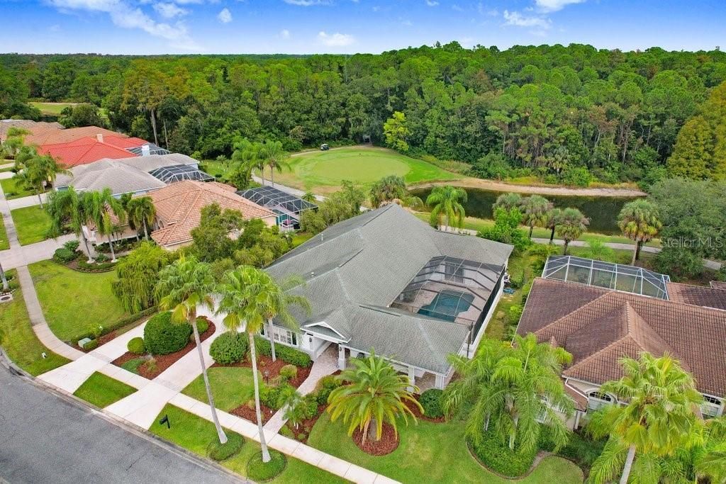 12009 Brewster Drive, Tampa, FL 33626 Photo