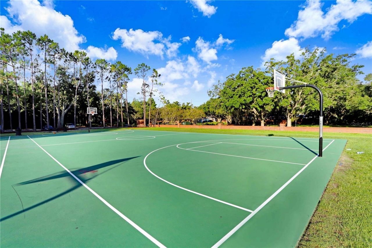 12009 Brewster Drive, Tampa, FL 33626 Photo