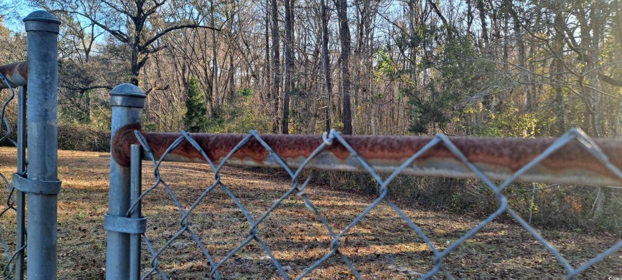 9816 Powell Rd. Photo 4