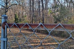 9816 Powell Rd. photo 4