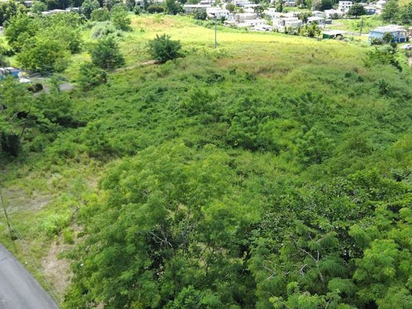 KM 5.4 CARR 109, Añasco, PR 00610