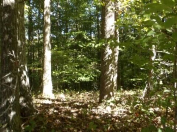 Lot 2 Inland Court , Sparta, TN 38583