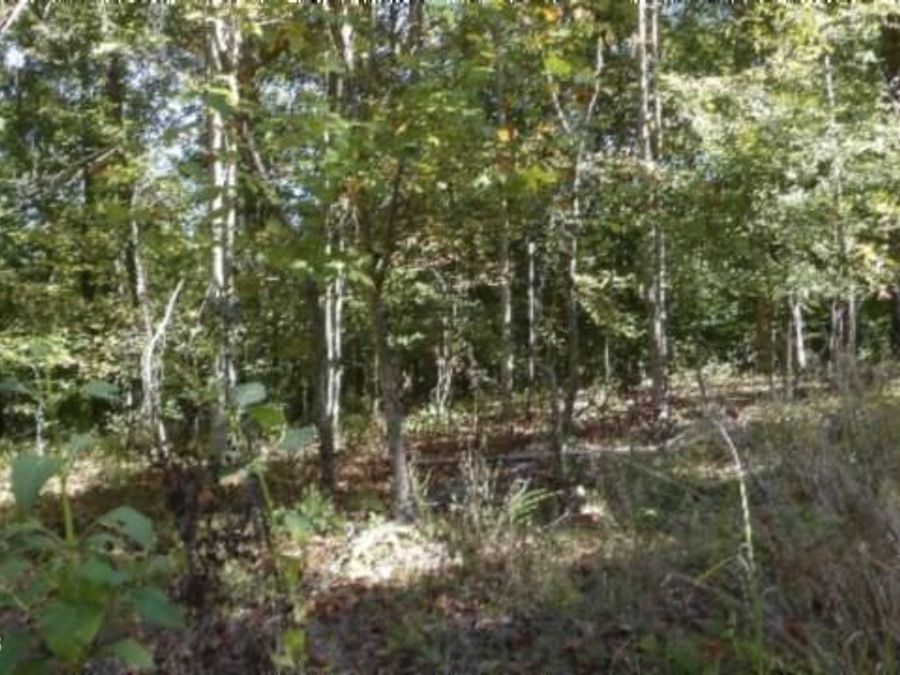 Property Image 19