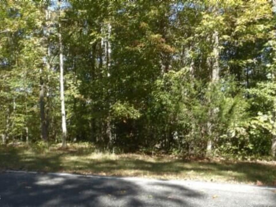 Property Image 21