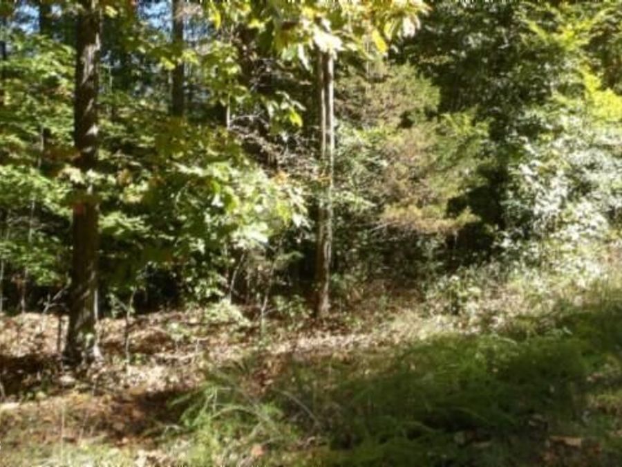 Property Image 27