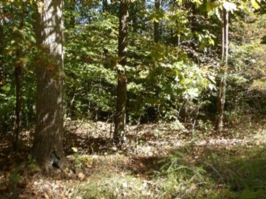 Property Image 25