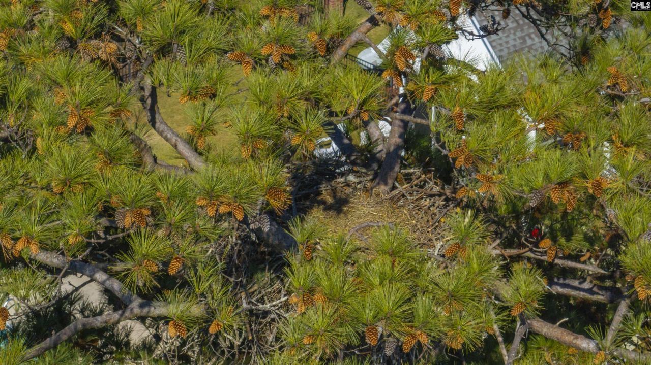 120 Magnolia Key Drive Photo 52