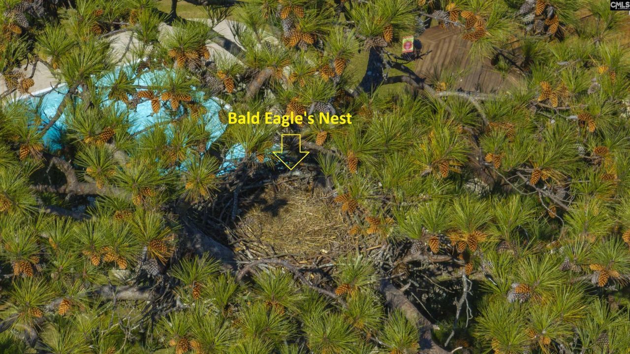 120 Magnolia Key Drive Photo 7