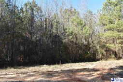 Tbd Bazen Lane photo 4