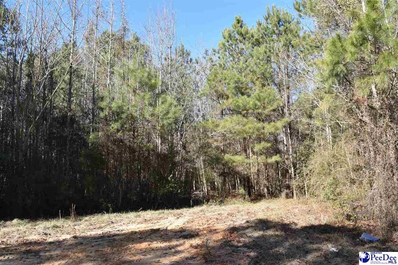 Tbd Bazen Lane Photo 4