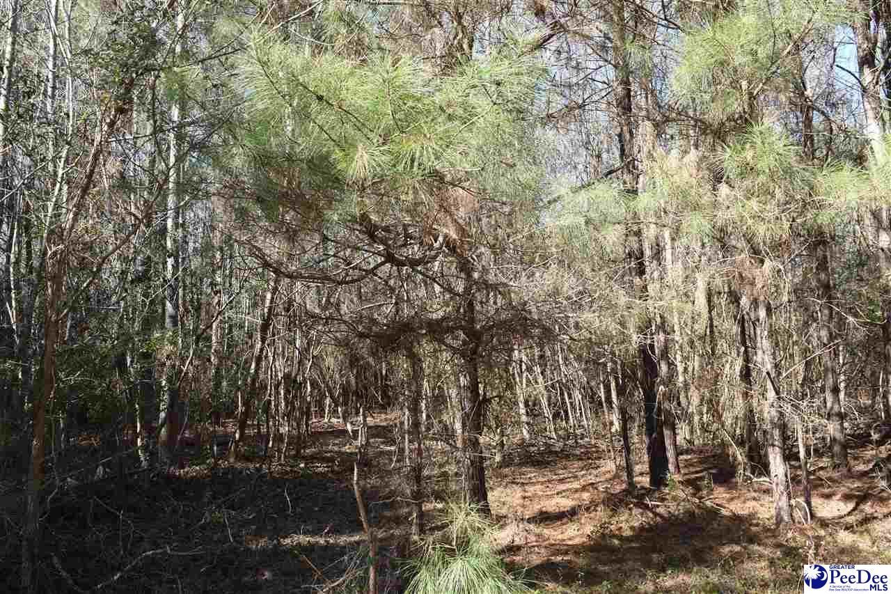 Tbd Bazen Lane Photo 5