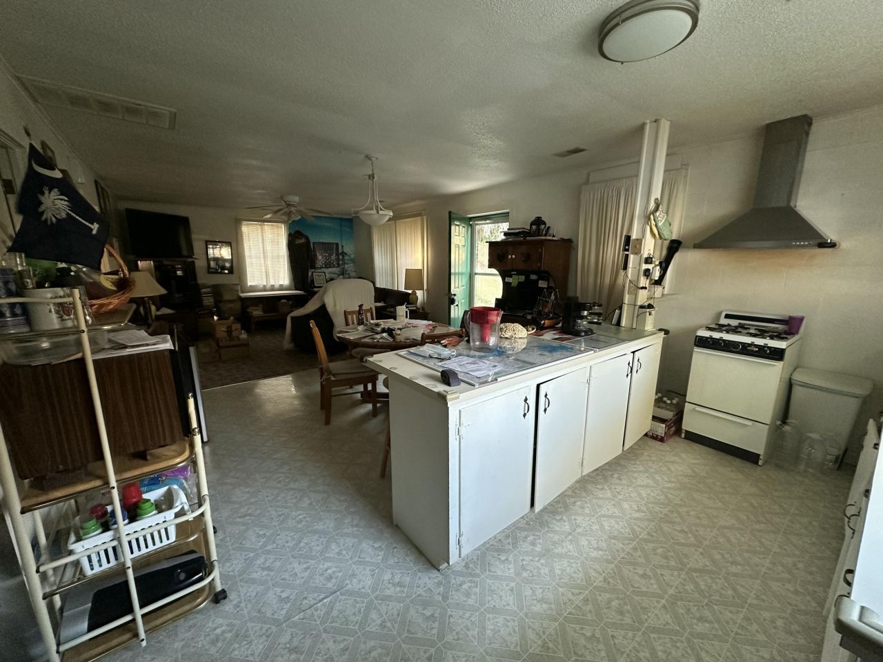 307 Irick Drive Photo 9