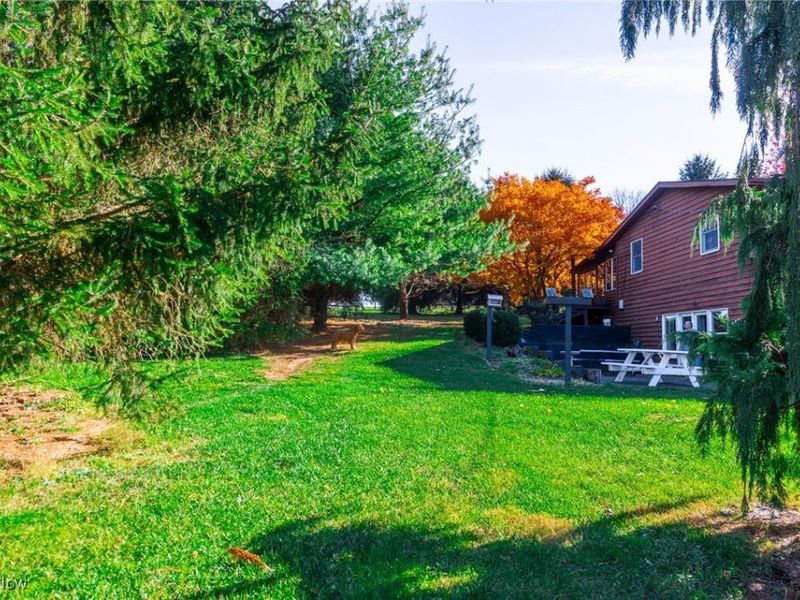 2057 State Route 89, Jeromesville, OH 44840 Photo 22