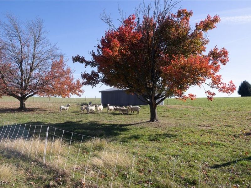 2057 State Route 89, Jeromesville, OH 44840 Photo 24