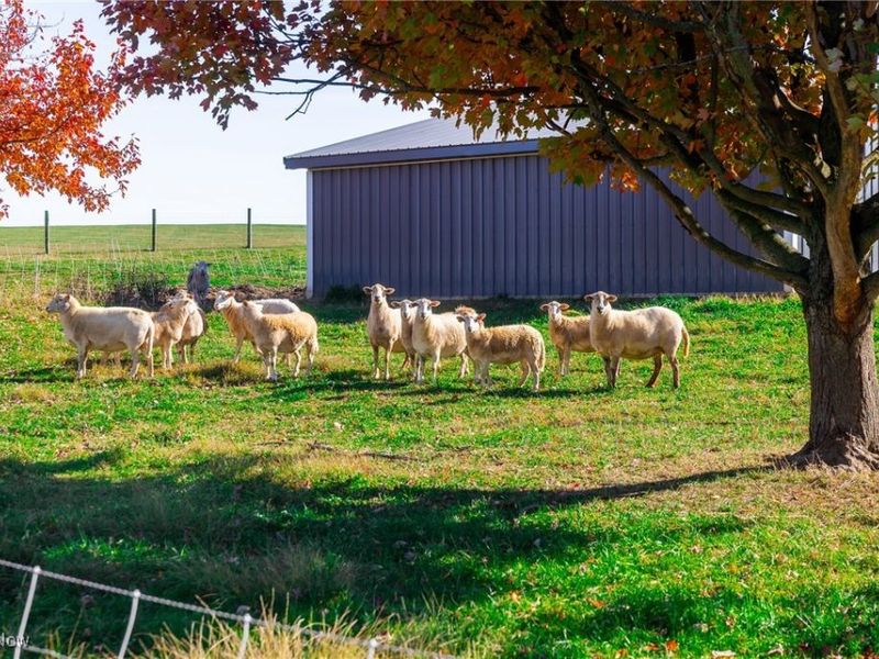 2057 State Route 89, Jeromesville, OH 44840 Photo 25