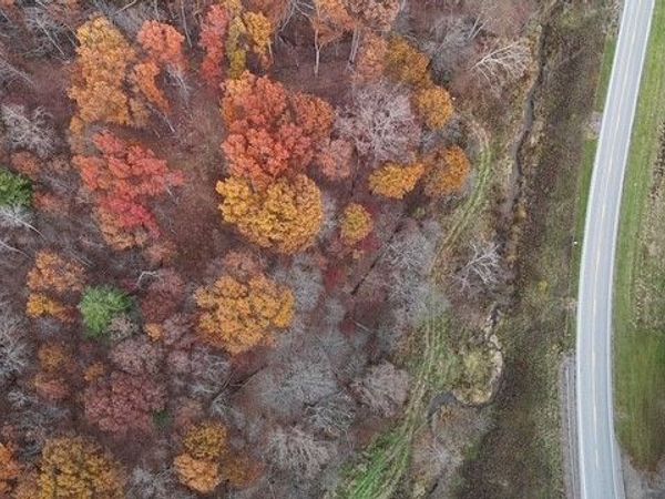 SR 215, Caldwell, OH 43724