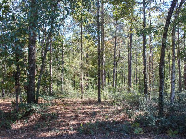 000 Marshal Pl, Petal, MS 39465