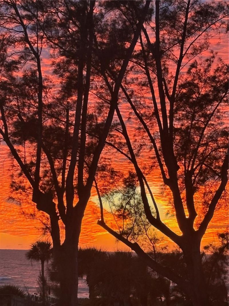 5055 Gulf Of Mexico Drive, Unit 331, Longboat Key, FL 34228 Photo