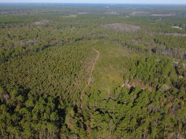 0 Fargo Highway, Homerville, GA 31634