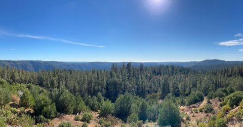 31180 Knob Cone Rd, Gold Run, CA 95717 Photo