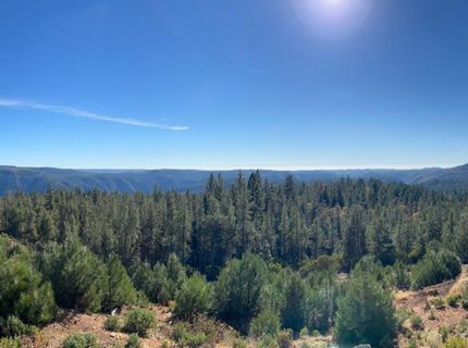 31180 Knob Cone Rd, Gold Run, CA 95717 Photo