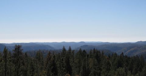 31180 Knob Cone Rd, Gold Run, CA 95717 Photo