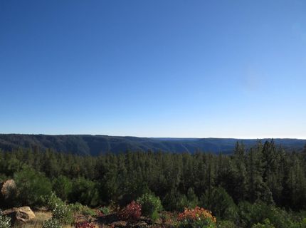 31180 Knob Cone Rd, Gold Run, CA 95717 Photo