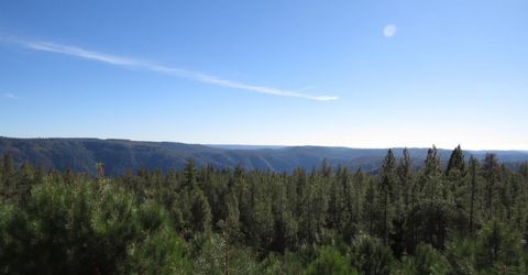31180 Knob Cone Rd, Gold Run, CA 95717 Photo