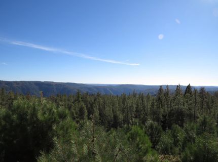 31180 Knob Cone Rd, Gold Run, CA 95717 Photo