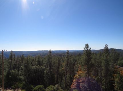 31180 Knob Cone Rd, Gold Run, CA 95717 Photo