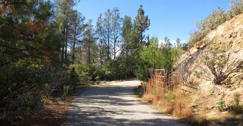 31180 Knob Cone Rd, Gold Run, CA 95717 Photo
